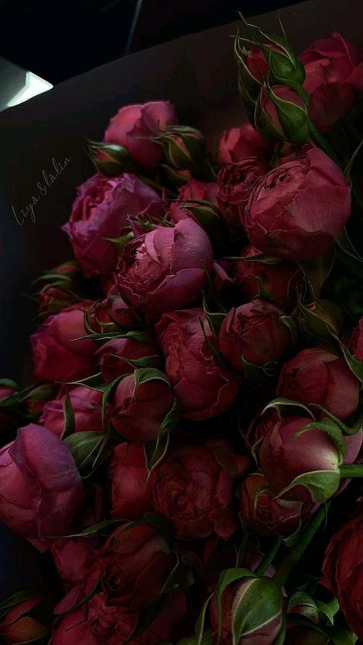 Secret Garden Lush Blossom Medley